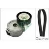 Image de Jeu De Courroies Trapézoïdales À Nervures Ina 529031510 Ford;Ford Usa