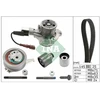 Image de Pompe À Eau + Kit De Courroie De Distribution 530 0699 30 Ina Ina 530069930 Audi;Seat;Skoda;Volkswagen