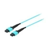 Image de equip Pro - Cordon de raccordement - MTP multimode (F) pour MTP multimode (F) - 7 m - fibre optique - simplex - 50 / 125 microns - OM4 - turquoise