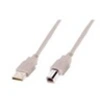 Image de ASSMANN - Câble USB - USB (M) pour USB type B (M) - USB 2.0 - 1.8 m - moulé - beige