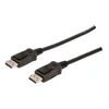 Image de Câble de connexion DisplayPort, mâle - mâle, 1,0 m