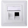 Image de Professional - Support de fixation - blanc, RAL 9010 - 2 ports