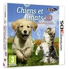 Image de Chiens et chats 3D