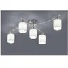 Image de Plafonnier garda nickel mat blanc 5x25w e14