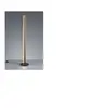 Image de Lampadaire texel noir 1x15w smd led