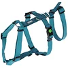 Image de Kerbl Harnais Pour Chien Miami 25 mm x 64-100 cm
