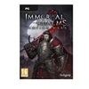 Image de Immortal Realms : Vampire Wars PC