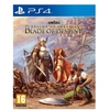 Image de Realms Of Arkania Blade Of Destiny