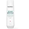 Image de Goldwell Shampooing Scalp Specialist Anti-dandruff 250ml