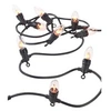 Image de Guirlande lumineuse décorative 4,2 m à 10 ampoules effet flammes