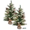 Image de 2 sapins de Noël avec guirlande - 30 LED - 60 cm
