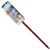 Image de Balai de nettoyage à plat 2en1 155743
