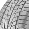 Image de Pneu d'hiver Voiture WinTech 245/45 R18 100V