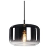 Image de Suspension intérieure PANTILO 28 chrome E27 15W max câble nu sans patère - - 1003006