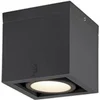 Image de Plafonnier ESKINA FRAME CL simple extérieur gris 15W max 240V - - 1006316