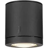 Image de Plafonnier ENOLA OCULUS CL extérieur gris 11W max 240V 3000/4000K - - 1006327