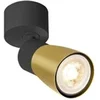 Image de Applique et plafonnier PURI 2.0 Dome intérieur simple 6W GU10 noir/or - - 1008293