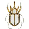Image de Déco murale miroir scarabée