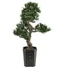 Image de Bonsai podocarpus, plante artificielle, 80cm