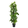 Image de Plant de pothos d', artificiel, 180cm