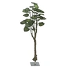 Image de Arbre pothos, plante artificielle, 175cm