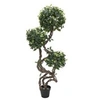 Image de Tronc en spirale d' ficus, plante artificielle, 160cm