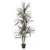 Image de Dracaena, vert-rouge, artificiel, 180cm