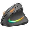 Image de PIAVO PRO Illuminated Souris radio optique noir 5 Boutons 1200 dpi, 2400 dpi, 3200 dpi ergonomique, éclairé