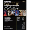 Image de GALERIE Semi Gloss Duo 250gsm A4 25s