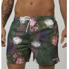 Image de Boss Short De Bain Turtle