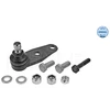 Image de Rotule De Suspension Meyle-Original Quality Meyle 16160100007 Renault