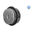 Image de Suspension, Corps De L'Essieu Meyle-Original Quality Meyle 2147100002 Fiat