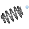 Image de Ressort De Suspension Meyle-Original: True To Oe. Meyle 16147390001 Renault