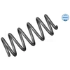 Image de Ressort De Suspension Meyle-Original: True To Oe. Meyle 1007390033 Audi