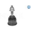 Image de Rotule De Suspension Meyle-Original Quality Meyle 18160100001 Jaguar
