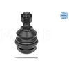 Image de Rotule De Suspension Meyle-Original Quality Meyle 36160100019 Nissan