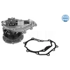 Image de Pompe À Eau Meyle-Original Quality Meyle 36132200015 Nissan