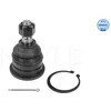Image de Rotule De Suspension Meyle-Original Quality Meyle 36160100012 Nissan
