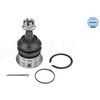 Image de Rotule De Suspension Meyle-Original Quality Meyle 30160100020 Toyota