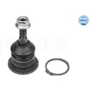 Image de Rotule De Suspension Meyle-Original Quality Meyle 53160100004 Land Rover