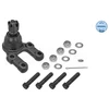 Image de Rotule De Suspension Meyle-Original Quality Meyle 36160100003 Ford;Nissan