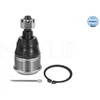 Image de Rotule De Suspension Meyle-Original Quality Meyle 31160100016 Honda