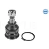 Image de Rotule De Suspension Meyle-Original Quality Meyle 36160100006 Nissan