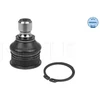 Image de Rotule De Suspension Meyle-Original Quality Meyle 36160100034 Nissan