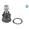 Image de Rotule De Suspension Meyle-Original Quality Meyle 16160100002 Renault