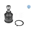 Image de Rotule De Suspension Meyle-Original Quality Meyle 31160100005 Honda;Mg;Rover