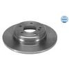 Image de Disque De Frein Meyle 0155230022 Mercedes-Benz
