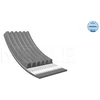 Image de Multi-Couronnes Meyle 0500061020 Lada;Mercedes-Benz