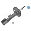 Image de Amortisseur Meyle-Original Quality -26 623 0019 Meyle 11266230019 Citroen;Peugeot