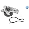 Image de Pompe À Eau Meyle-Original Quality Meyle 30132200026 Citroen;Peugeot;Toyota